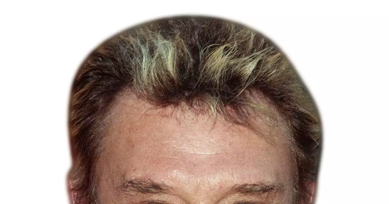 masque-johnny-hallyday