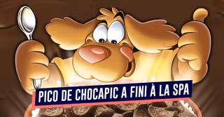 UNE_PARENTS_chocapic