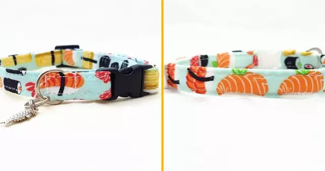 un-collier-pour-chien-a-motif-sushi