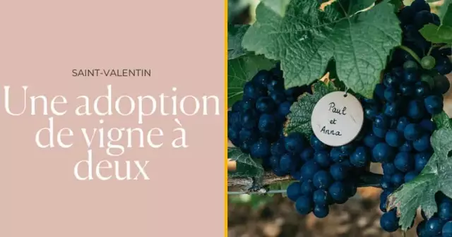 vigne-adopter-saint-valentin