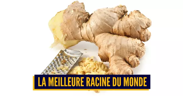 gingembre
