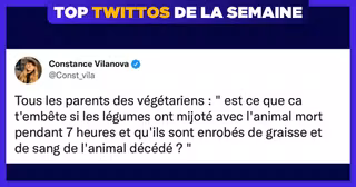 une-top-twittos-constance-villa