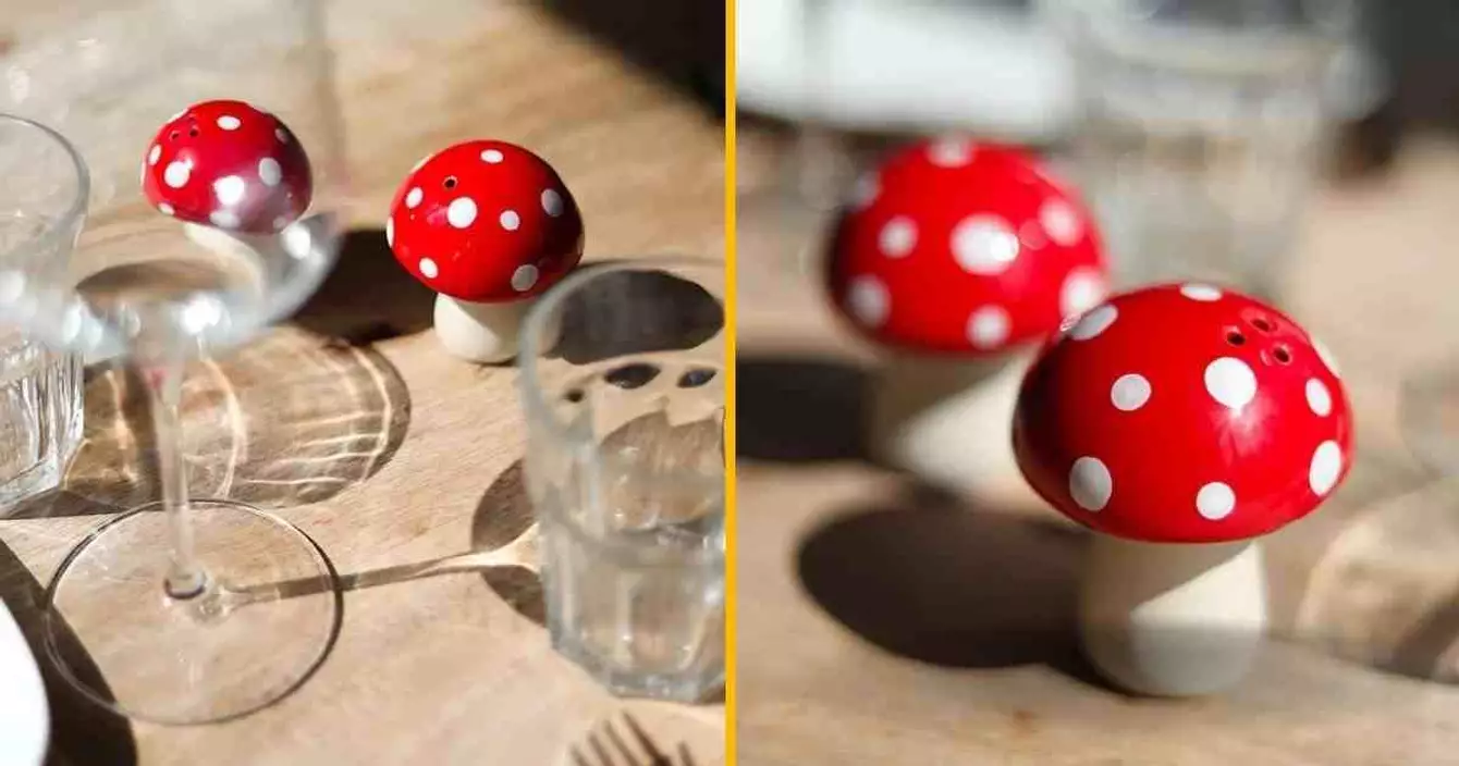 set-duo-sel-poivre-champignons