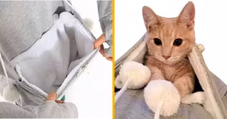 sweat-shirt-kangourou-transporter-chat-partout