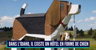 1280px-Dog_Bark_Park,_Cottonwood,_Idaho