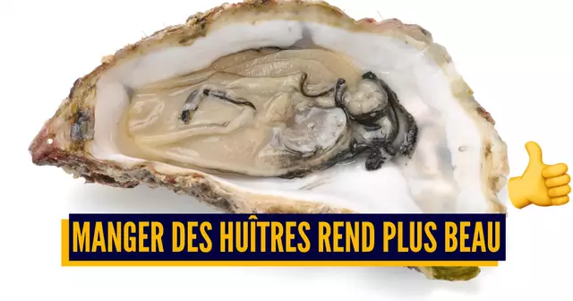 HUITRES
