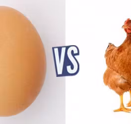 battle-340343-1417617596