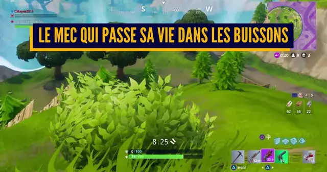 une fortnite