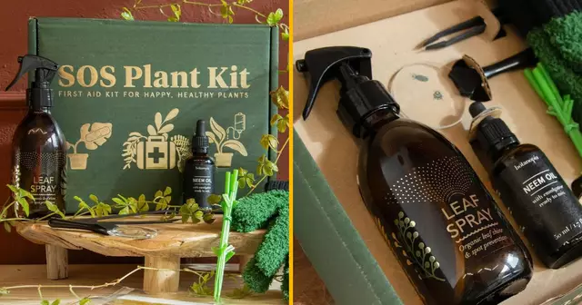 kit-sos-plant