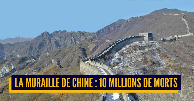 24735044866_3aa21e3b96_b