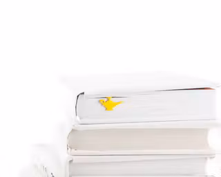 1221395261247463361_957495ffccc5