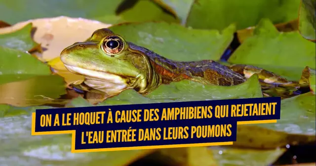 une_corps_humains_evolution