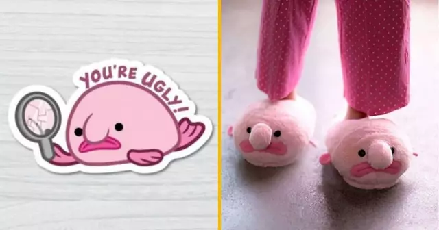 top-shopping-accessoires-amoureux-blobfish-poisson