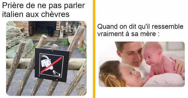 top memes trashcan paul