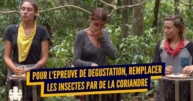 top epreuves koh lanta