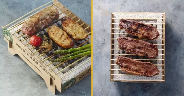 barbecue-biodegradable