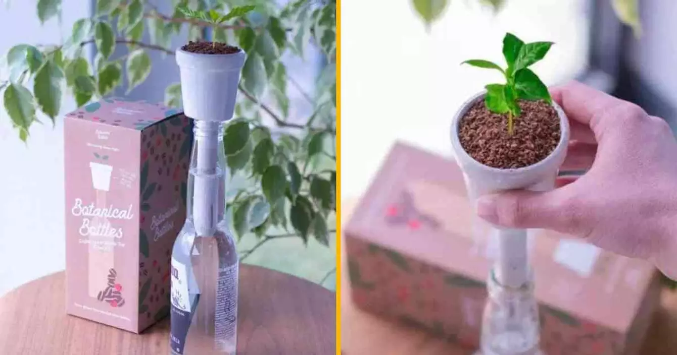 kit-pousser-cafe-bouteilles