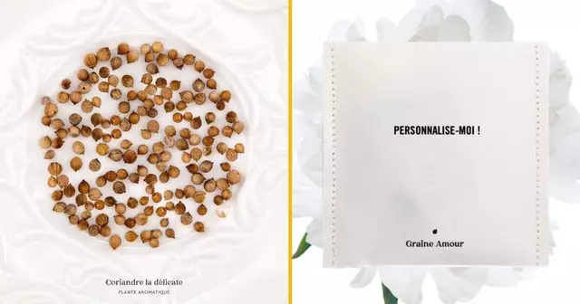 sachets-graines-coriandre-personnaliser