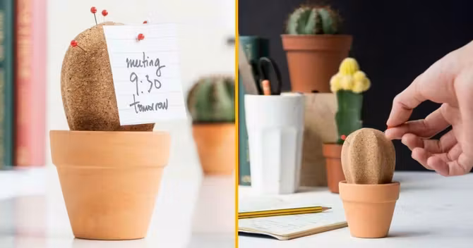 cactus-liege-vide-poche