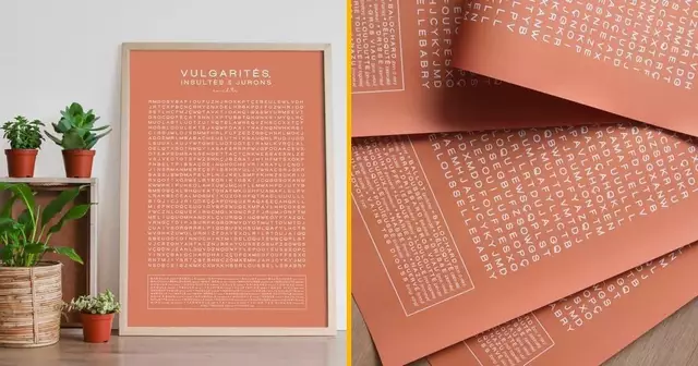 affiche-vulgarite-chtis