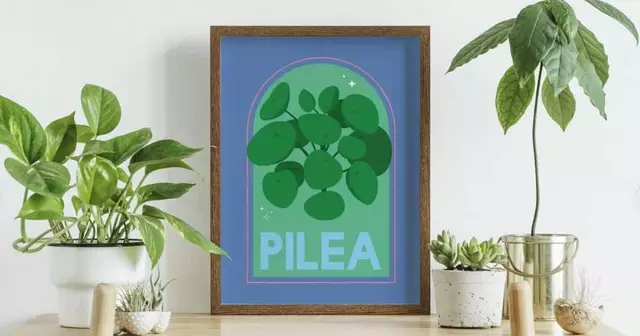 affiche-minimaliste-plante-argent