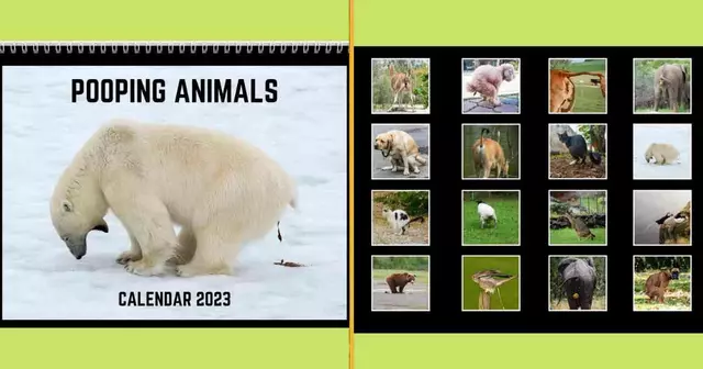 -calendrier-animaux-caca