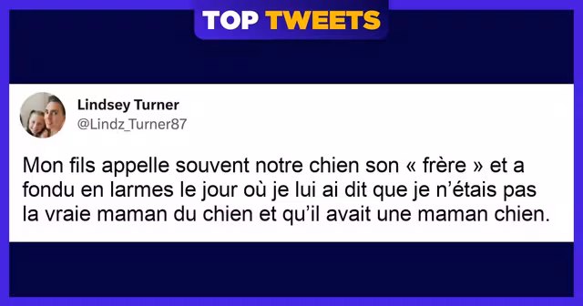 top tweets enfants chiens