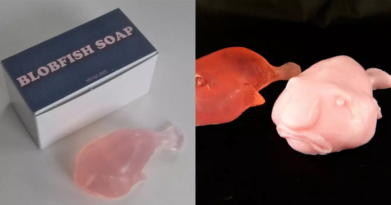 savon-blobfish