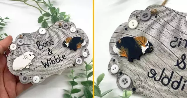 plaque-personnalisee-cochon-inde-