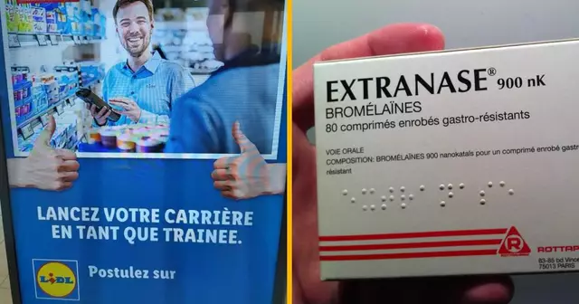 GensMieuxFaitTraduire