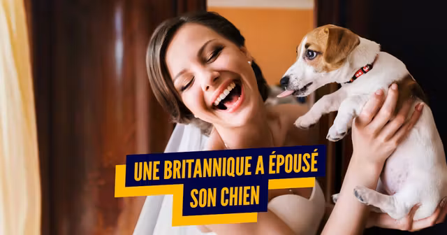 top maitres chien chat