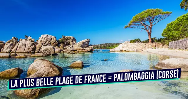 UNE_VOYAGE_palombaggia