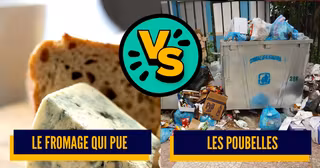 Une Battle Puanteur.png