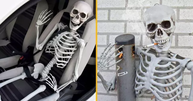 squelette-grandeur-nature