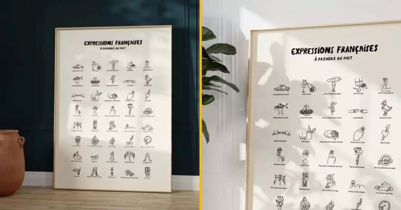 affiche-expressions-francaises-illustrations