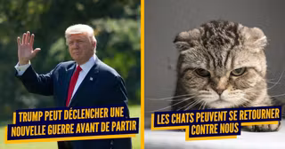 chattrump