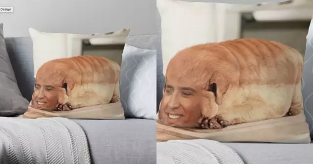 coussin-chien-nicolas-cage
