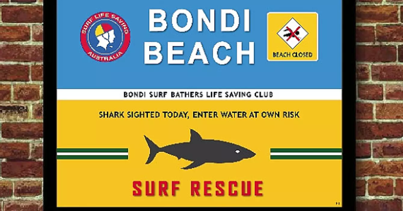 il_570xN.1098612082_jdmy