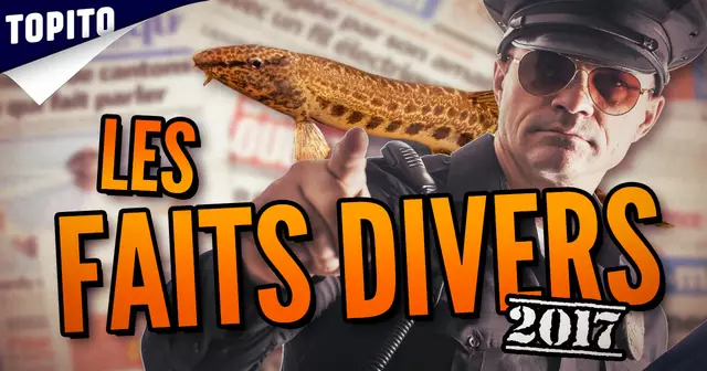 VIDEO_95_TOP_CHAMPIONS_ANNEE_2017_FAITS_DIVERS_VIGNETTE_SITE