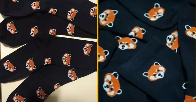 des-chaussettes-panda-roux-a-defaut-de-pouvoir-en-adopter-oui-cest-interdit