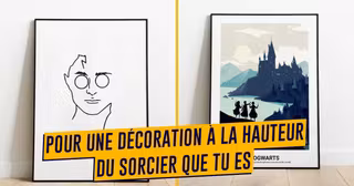 UNE_SHOPPING_AFFICHES_HARRY_POTTER