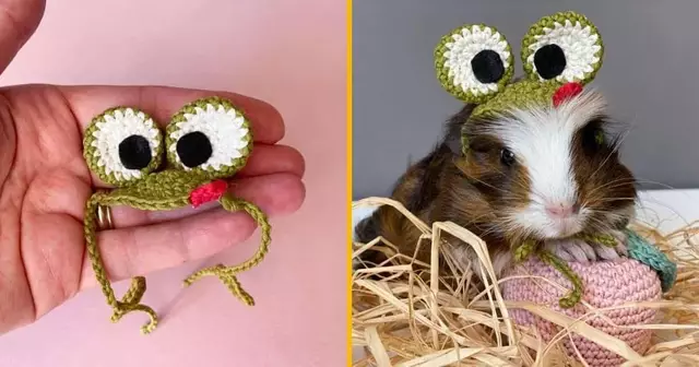 chapeau-grenouille-hamster
