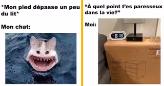 top memes conneriesqc