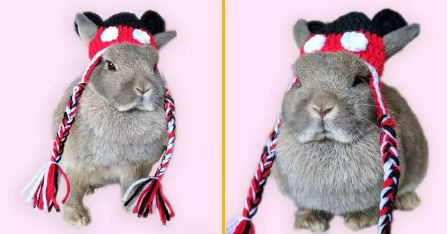 chapeau-oreilles-mickey-lapin