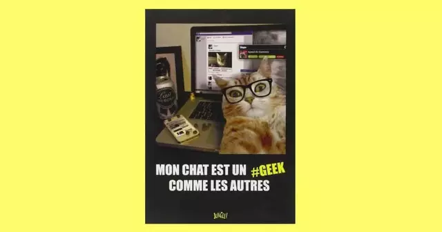 livre-mon-chat-est-un-geek-comme-les-autres