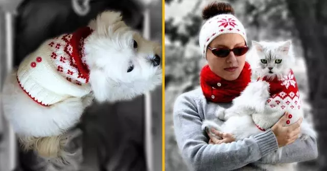 tricot-noel-chat-bandeau-assorti