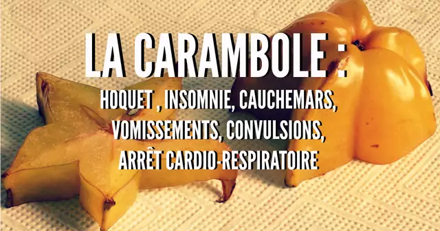 800px-Sternfrucht_2008-2-21