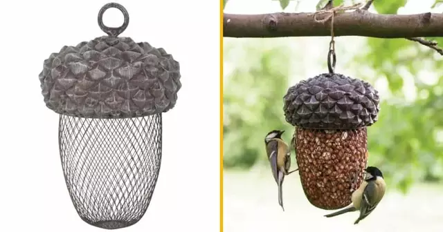 mangeoire-gland-oiseaux