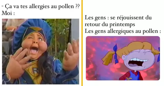 top memes allergie