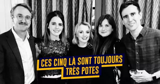 TOP amis potter